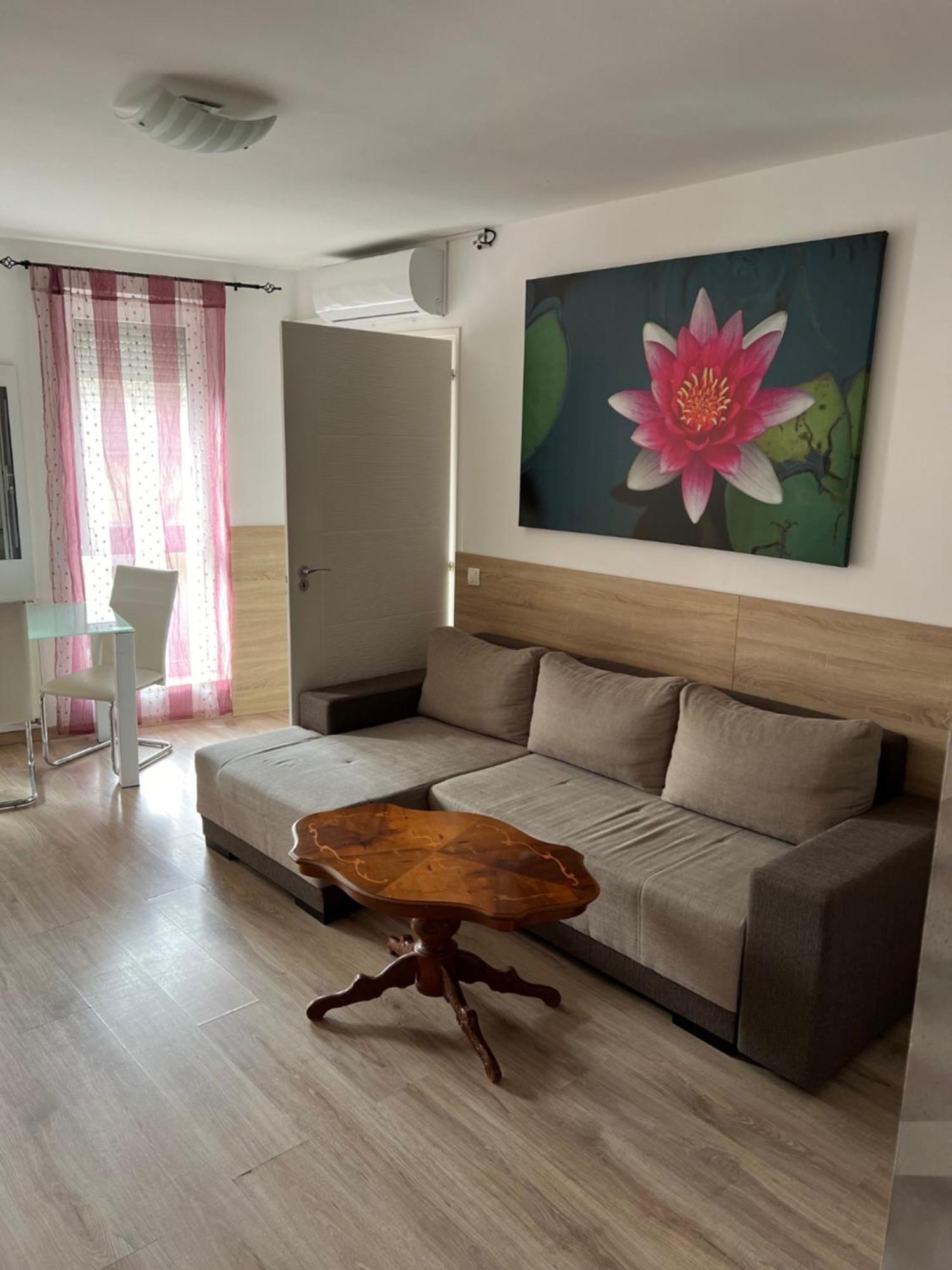 Sweet Dream Guesthouse Seghedin Exterior foto